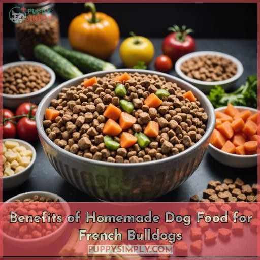 Benefits of Homemade Dog Food for French Bulldogs
