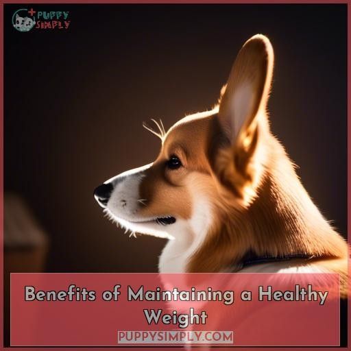 Benefits of Maintaining a Healthy Weight