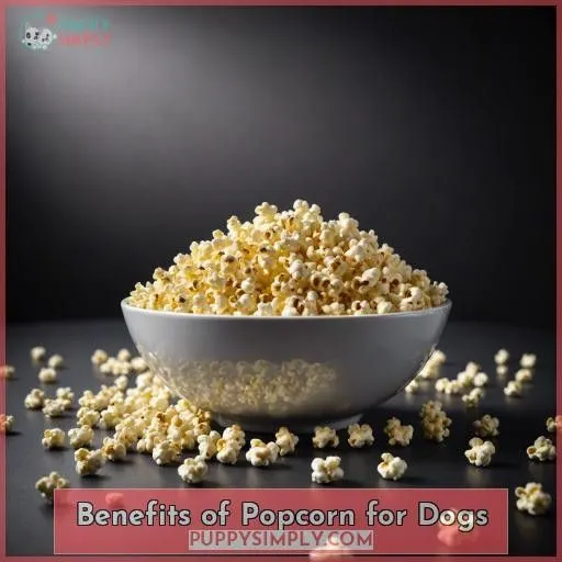 Benefits of Popcorn for Dogs