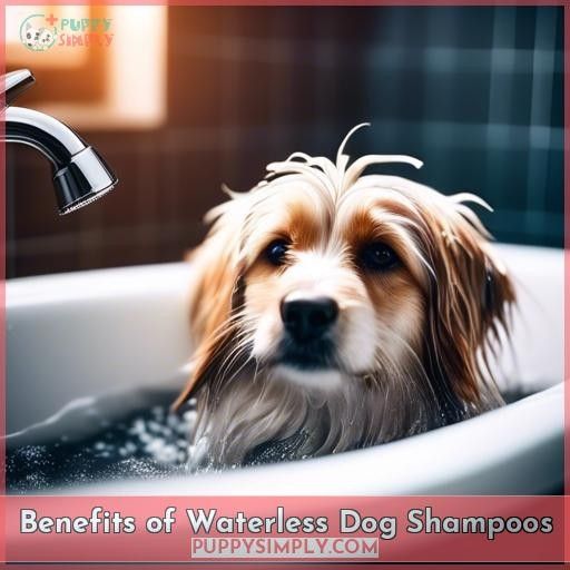 Benefits of Waterless Dog Shampoos