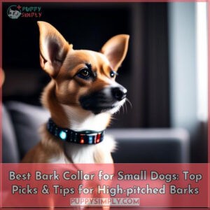 best bark collar for small dogs