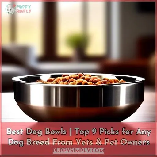 best dog bowls