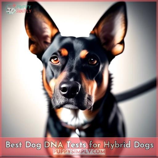 Best Dog DNA Tests for Hybrid Dogs