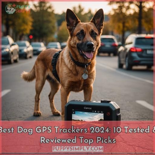 best dog gps tracker