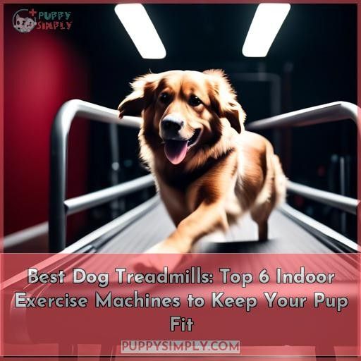 best dog treadmills