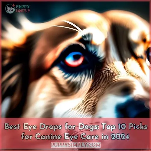 best eye drops for dogs