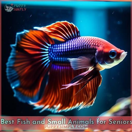 Best Fish and Small Animals for Seniors