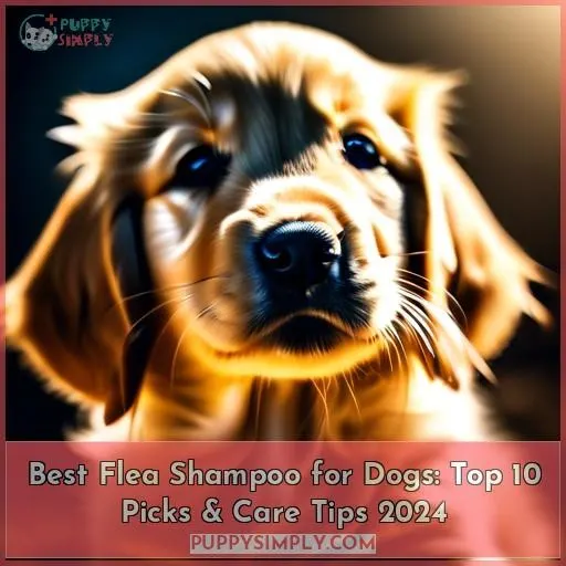 Best flea shampoo for dogs