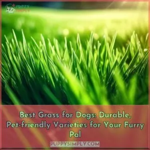 best grass for dogs