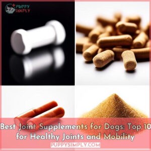best joint supplements for dogs