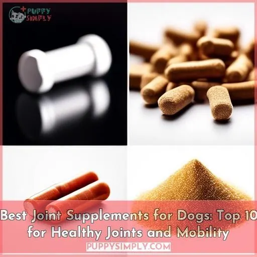 best joint supplements for dogs