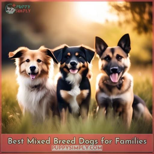 Best Mixed Breed Dogs for Families