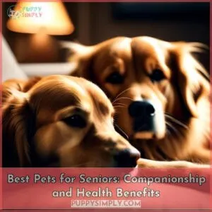 best pets for seniors