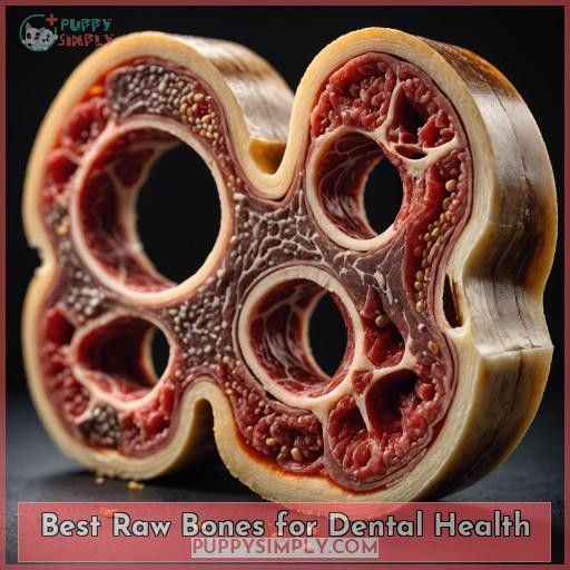 Best Raw Bones for Dental Health