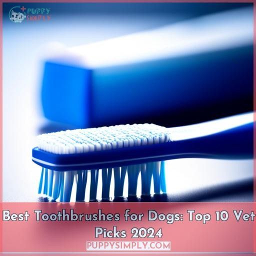 best toothbrushes for dogs