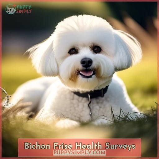 Bichon Frise Health Surveys