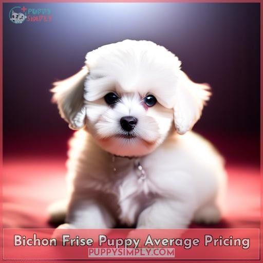 Bichon Frise Puppy Average Pricing