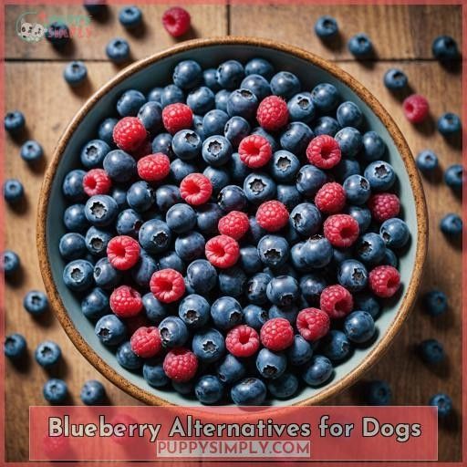 Blueberry Alternatives for Dogs