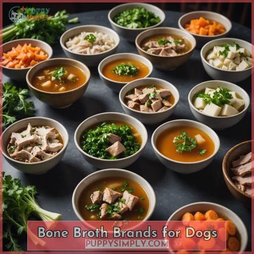 Bone Broth Brands for Dogs
