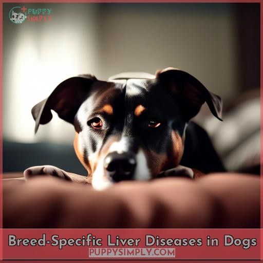 Breed-Specific Liver Diseases in Dogs