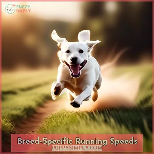 Breed-Specific Running Speeds