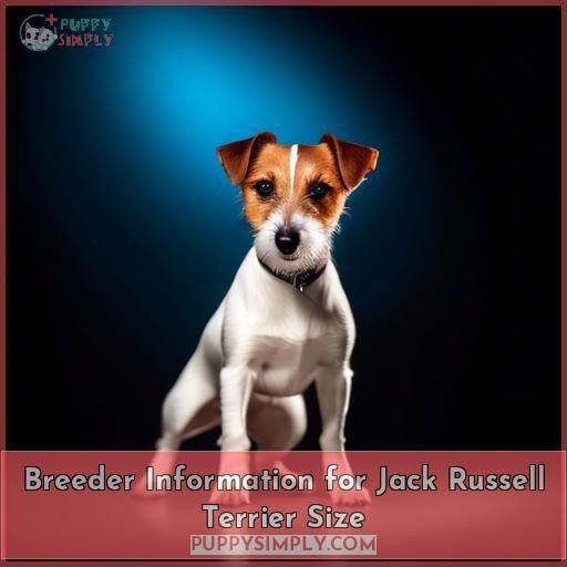 Breeder Information for Jack Russell Terrier Size