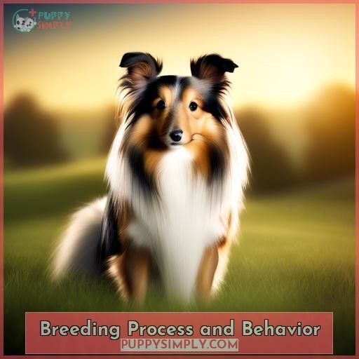 Breeding Process and Behavior