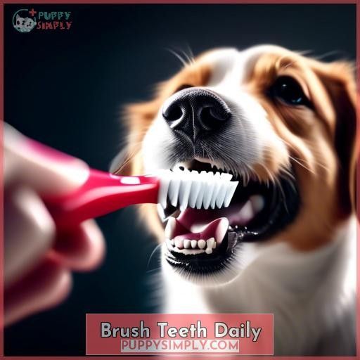 Brush Teeth Daily