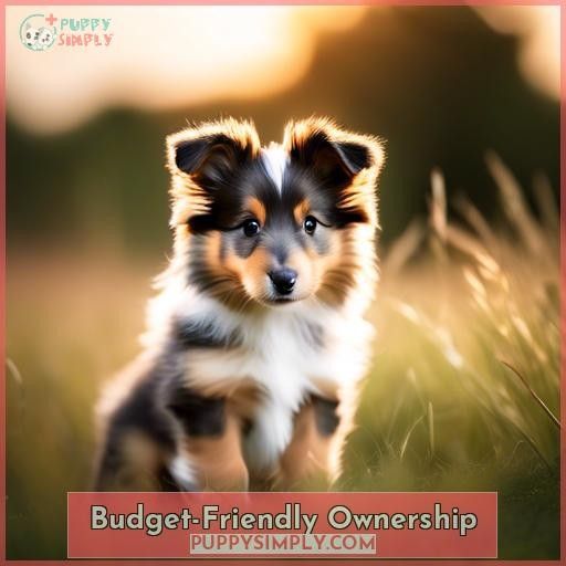 Budget-Friendly Ownership