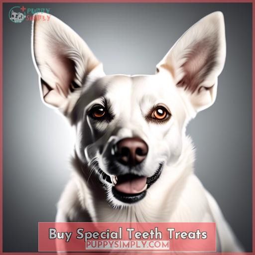 Buy Special Teeth Treats