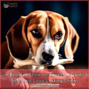 can beagles chew on bones