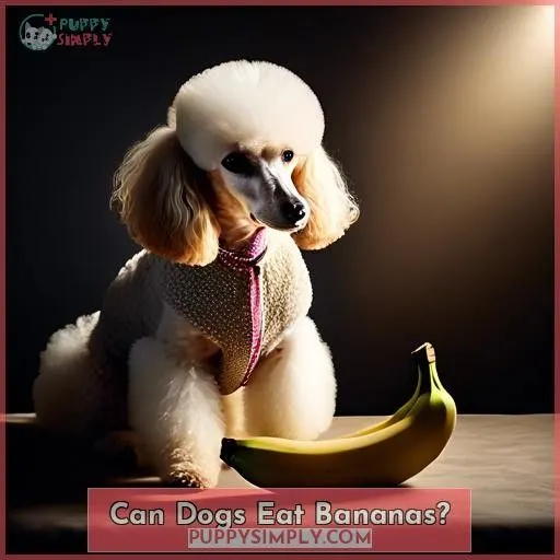 Can Dogs Eat Bananas