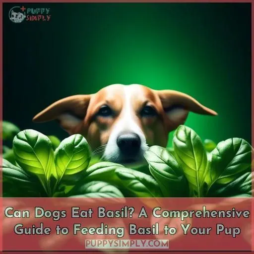 can dogs eat basil