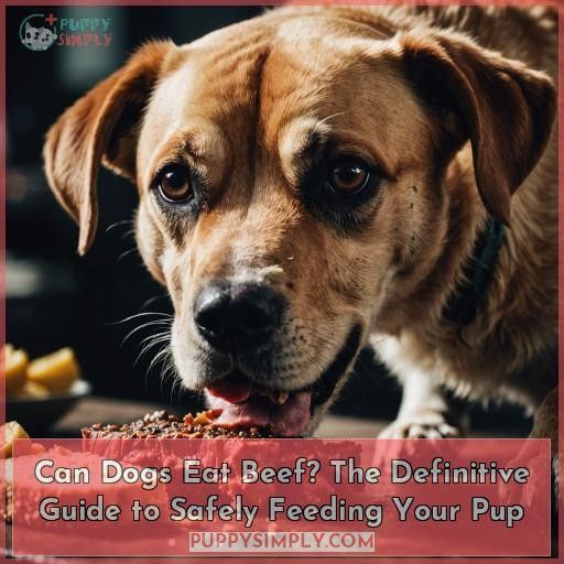 Can Dogs Eat Beef? The Definitive Guide to Safely Feeding Your Pup