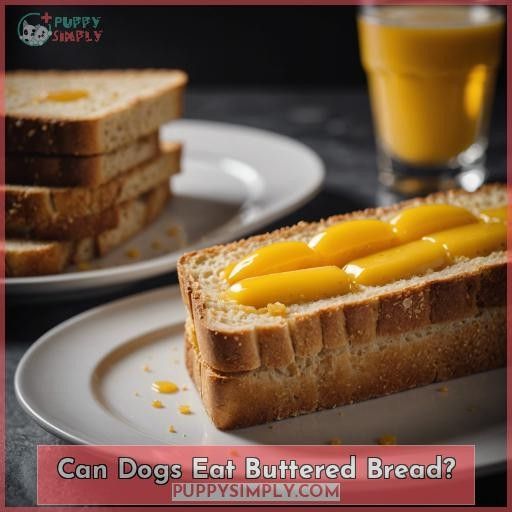 Can Dogs Eat Buttered Bread