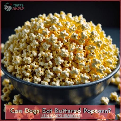 Can Dogs Eat Buttered Popcorn