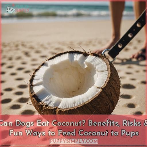 can dogs eat coconut