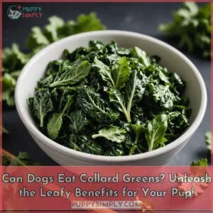 can dogs eat collard greens