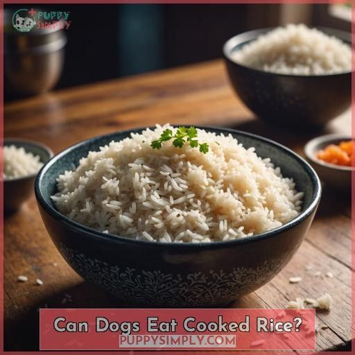 Can Dogs Eat Cooked Rice