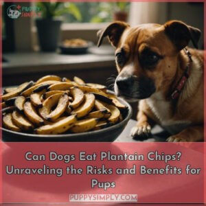 can dogs eat plantain chips