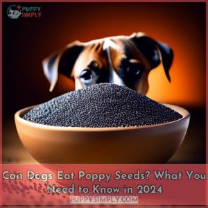 can dogs eat poppy seeds