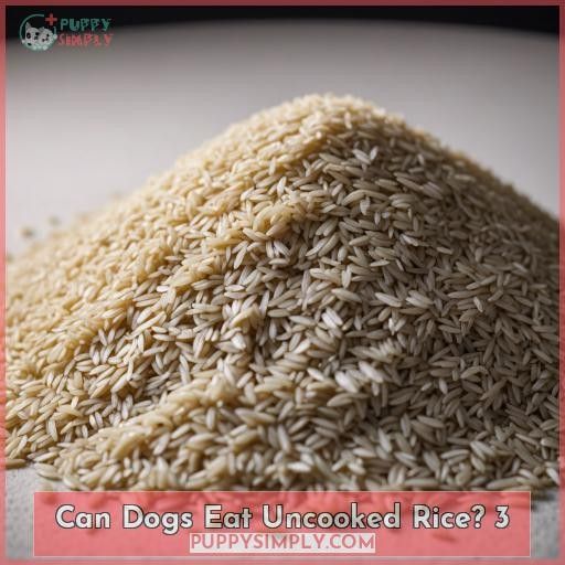 Can Dogs Eat Uncooked Rice 3