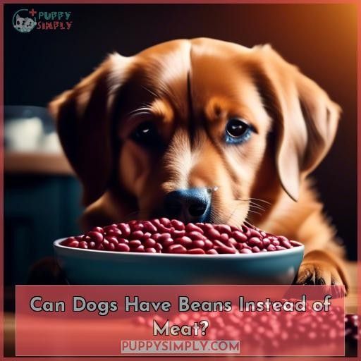 Can Dogs Have Beans Instead of Meat