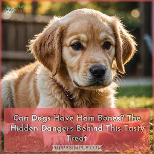can dogs have ham bones
