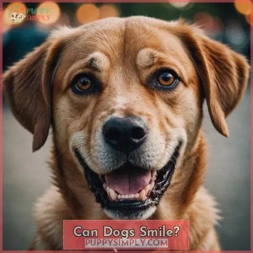 Can Dogs Smile