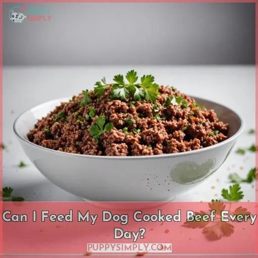 Can I Feed My Dog Cooked Beef Every Day