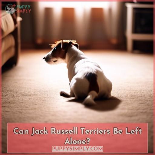 Can Jack Russell Terriers Be Left Alone