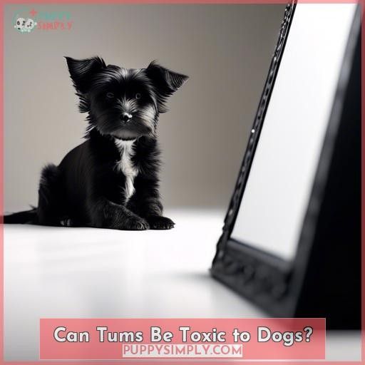 Can Tums Be Toxic to Dogs