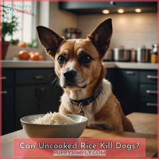 Can Uncooked Rice Kill Dogs