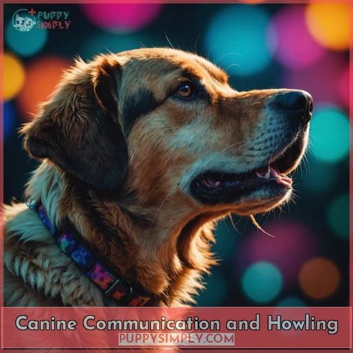 Canine Communication and Howling
